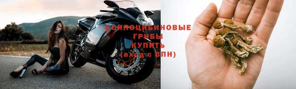 прущая мука Алзамай