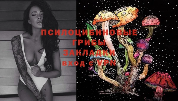 прущая мука Алзамай