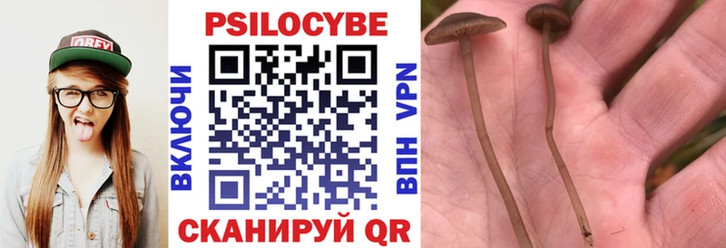 Галлюциногенные грибы GOLDEN TEACHER  darknet формула  Сосновка 